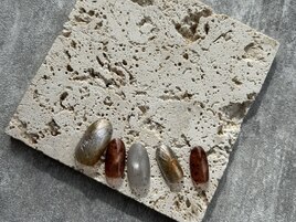 シンプル定額コース