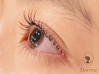 サロン マロウ(SALON Marrow)の写真/大人気!根元から上がる美まつ毛パーマ￥4900／フラットラッシュ（オフ込）120本￥5500★垢抜け目元が叶う♪