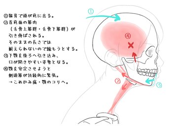 整体家 シン(Shin)/こめかみの不快感は姿勢から