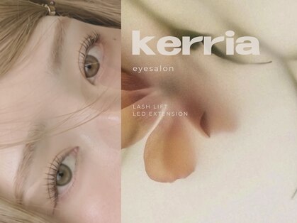 ケリア(Kerria)の写真
