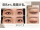 ホワイト(WHITE)の写真