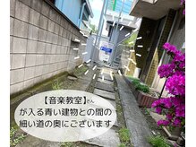 ミリー(miRii)/草加まつげパーマ/マツエク/眉毛