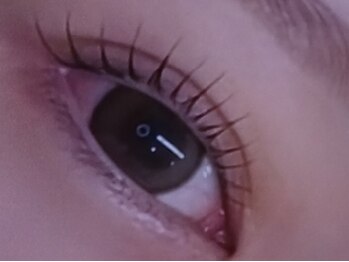 ネオビューティー(Neo beauty)/まつ毛パーマ