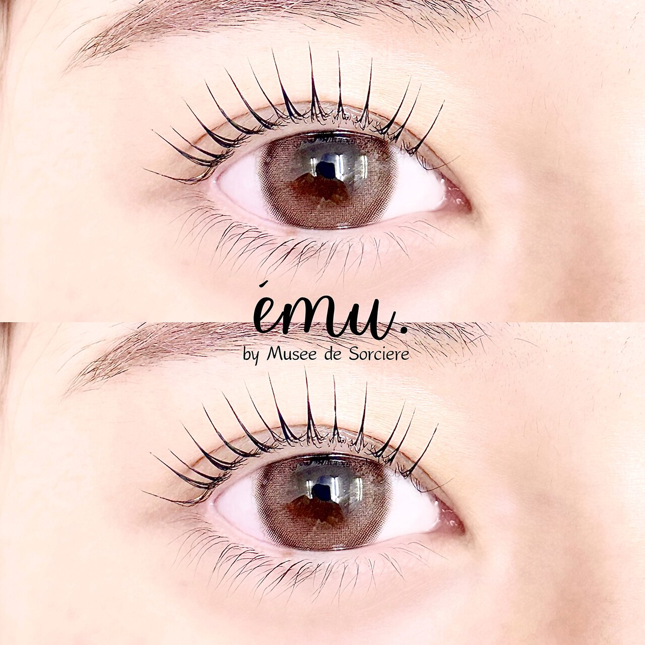 エミュ バイ ミュゼ ドゥ ソルシエール(emu. by Musee de Sorciere