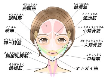 隠れ家アオ(ao)/お肌の印象は頬の状態による