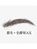 【人気】眉スタイリング＋全顔WAX ¥8800