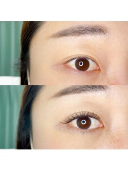 ルピナス 国分寺店(Lupinus)/LEDボリュームラッシュ400本