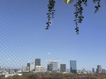 アルカディアジム(ARCADIA GYM)