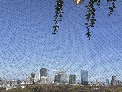 アルカディアジム(ARCADIA GYM)の写真