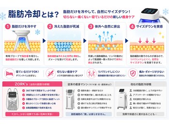 アリュール/誰よりも早くやせる【脂肪冷却】