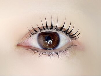 リノ カヒリ アイラッシュ(Lino kahili)/ラッシュリフト