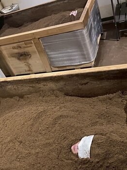 友達・カップルで利用したい