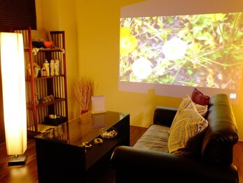 ニコ 金山店(nico)/こだわりの癒し空間