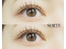 ソルテ(SORTE)/フラットラッシュ120本