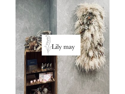 リリーメイ(Lilymay)の写真