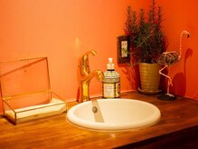 シェルジンジャー(shell ginger)/