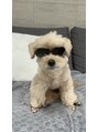 ジェイムファイブアイ 梅田中津店(Jiem5eye) うちの愛犬です★