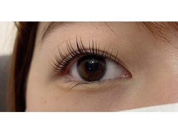 ペルシャ(Persian)/パリジェンヌ【若葉/鶴ヶ島】