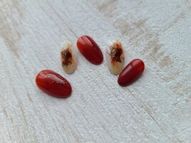 秋色ネイル