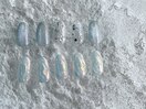 PG012406210