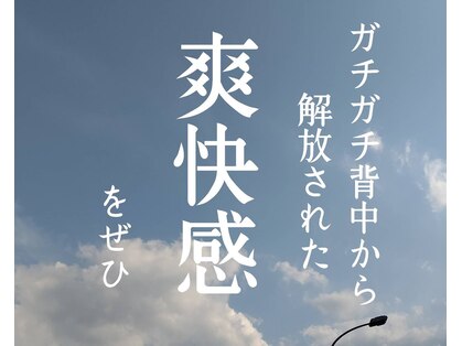 ホグステの写真