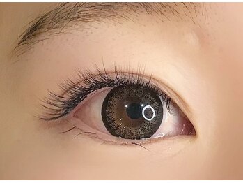 エモル(emol)/ボリュームラッシュ2D つけ放題