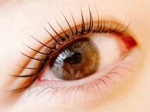 ラッシュ(LASH)/まつげパーマ/メーテル