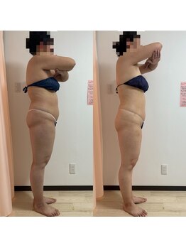 パピヨン(Papillon)/見た目や身体の軽さ◎