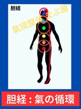 まぶ屋/胆の経絡内 気の循環イメージ