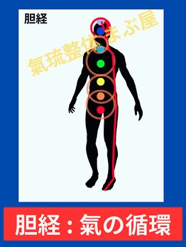 まぶ屋/胆の経絡内 気の循環イメージ