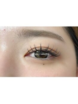 ホワイトカメリア 上本町店(White Camellia)/マツエクサロン/まつげパーマ