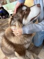 ウムラウト(Umlaut)&nbsp;大型犬カフェへ。肩に7センチに及ぶよだれの洗礼を受ける