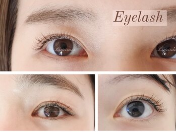 ルピナス(Lupinus.)