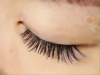 バニーアイズ 天神(Bunny eyes TENJIN)/シングル×ワンポイントカラー