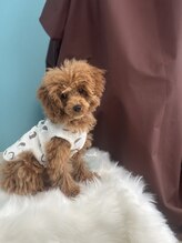 エイト(Eight)/わんこと温活