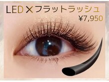 ビューティーラッシュ 京橋店(BEAUTY LASH)