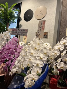 ラリリー(La Lily)/エステサロンオープン