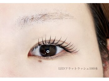 カラー(KOLOR)/LEDフラットラッシュ