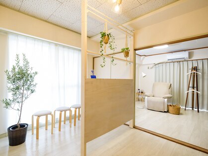 トニー(Tonny)の写真