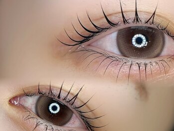 ソル ラッシュアンドブロウ(SOL lash&blow)/上下パーマ