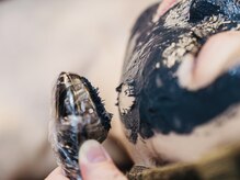 ラヴィアンローズ 津島店(La vie en Rose)/◇クレイマスク◇