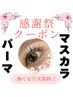 ★感謝祭クーポン★マスカラパーマがいつもの値段で♪*.→4,800円