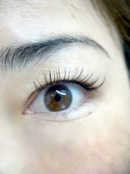 ムニ(muni)/LEDフラットラッシュ120本