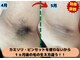 ディスイズミー シュガーリング(This is me Sugaring)の写真