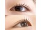 シマー(shimmer)の写真