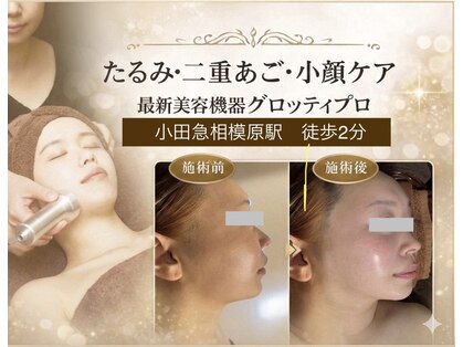 ニコ(NIKO)の写真