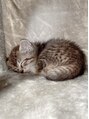 プランス 熊本(PLANCE) お休みの日は実家の猫ちゃんに癒されてます♪