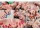 マナハナ(mana_hana)の写真/季節に合わせたお任せネイルがおすすめです★シンプル～派手めまで幅広く対応♪ぜひご相談ください！