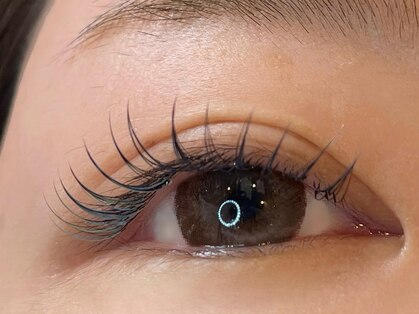 バンブルビー(BUMBLEBee)の写真