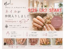 サロン ド メタセコイア(salon de Metasequoia)
